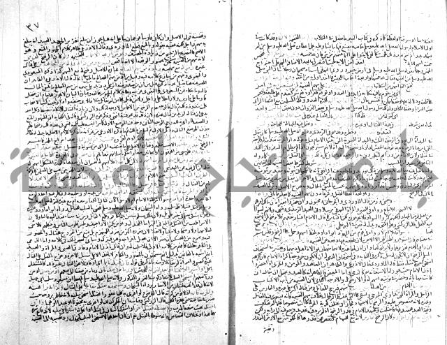 شرح الروض ج2