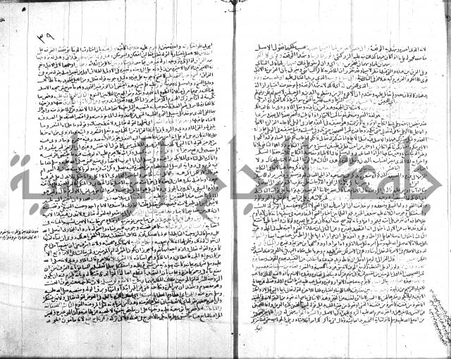 شرح الروض ج2