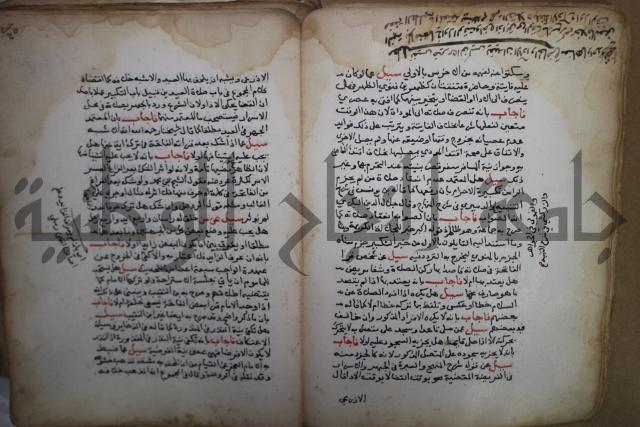 فتاوى لاحمد رمضان الأنشاصي