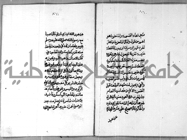 شرح على تحرير تنقيح اللباب 
