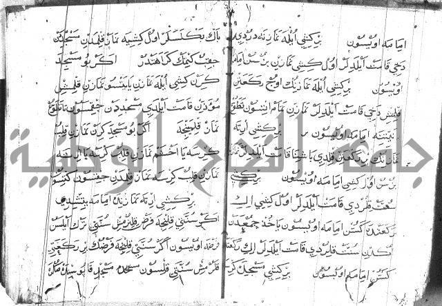 عبارات بالتركية