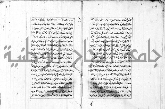 الاشباه والنظائر
