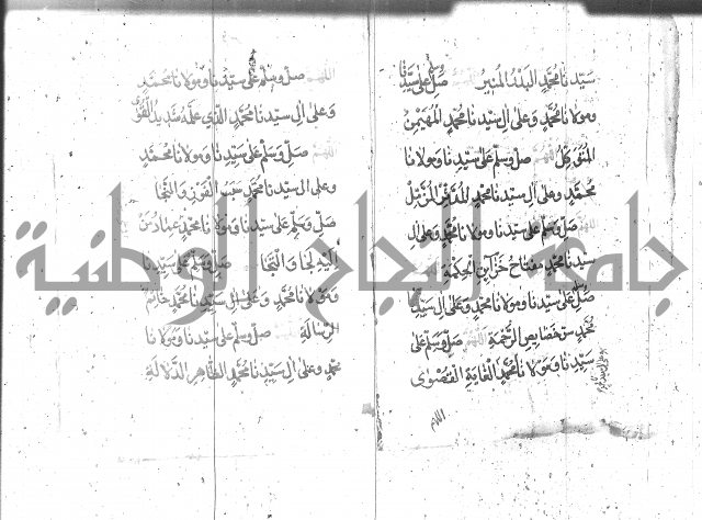 تنبيه الانام