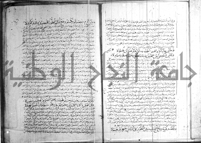 شرح الشاطبية