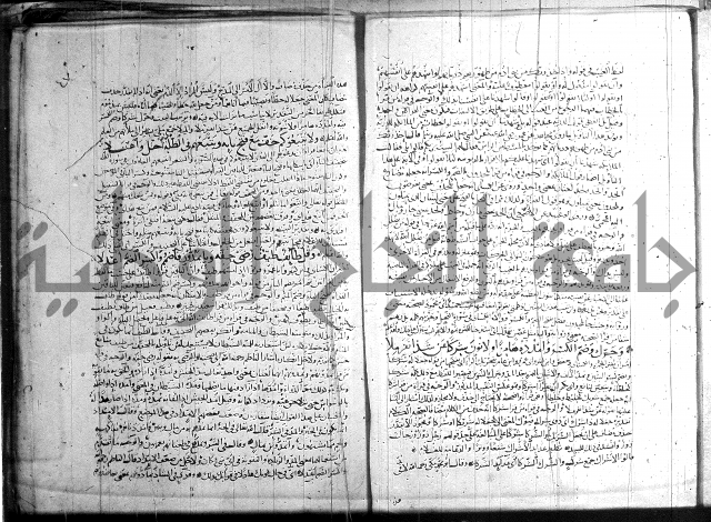 شرح الشاطبية