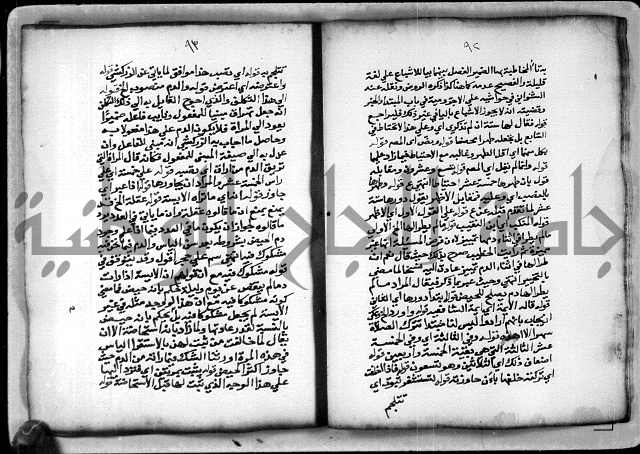 حاشية الشبراملي على شرح الرملي