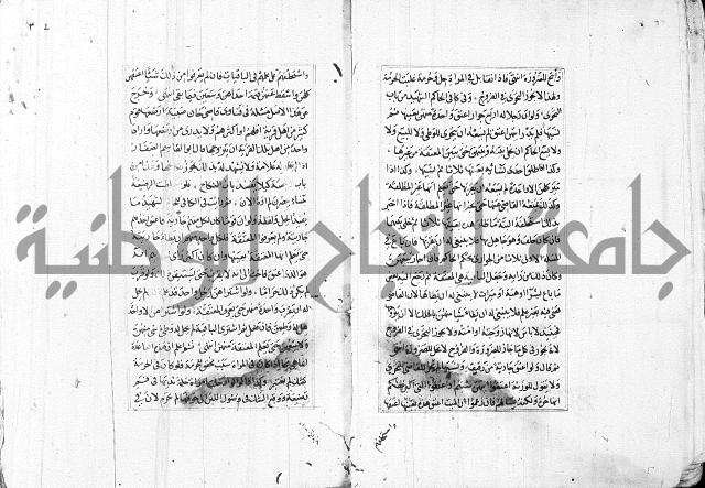 الاشباه والنظائر