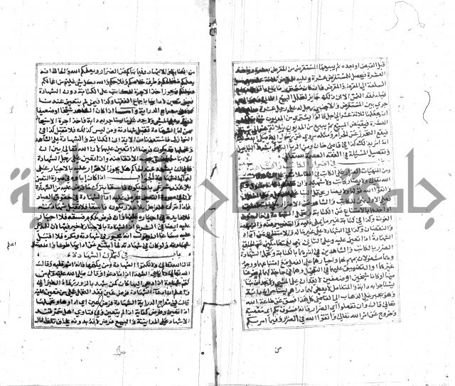 تبين المحارم 