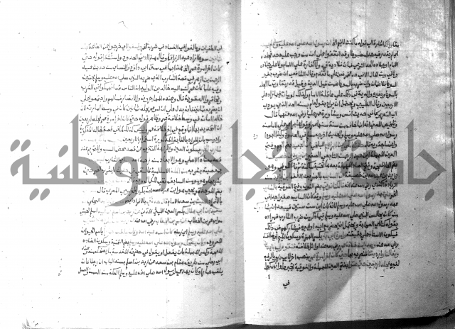 ارشاد الساري 10    