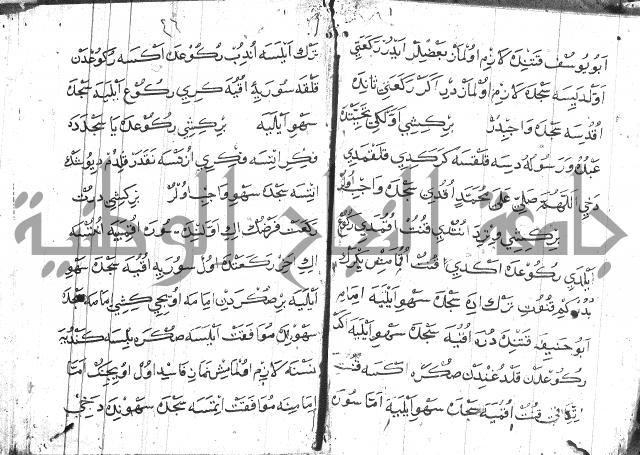 عبارات بالتركية