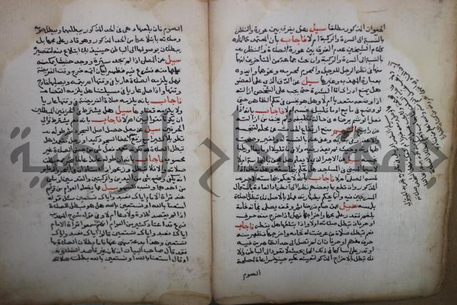 فتاوى لاحمد رمضان الأنشاصي