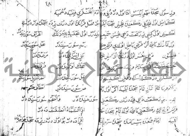 عبارات بالتركية