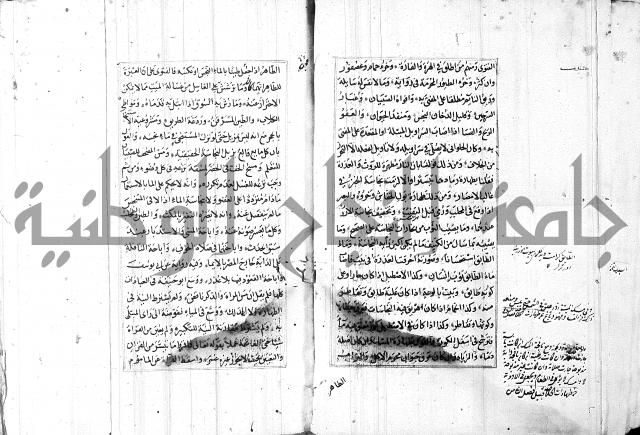 الاشباه والنظائر