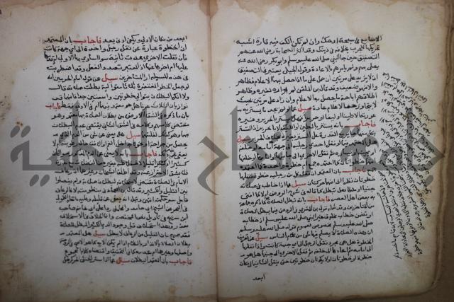 فتاوى لاحمد رمضان الأنشاصي