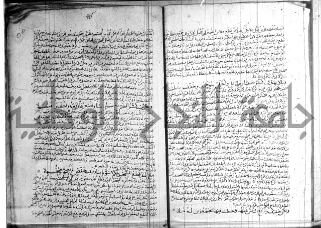 شرح الشاطبية