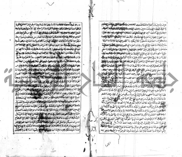 تبين المحارم 