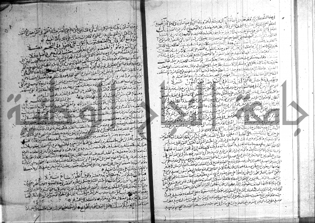 شرح الشاطبية