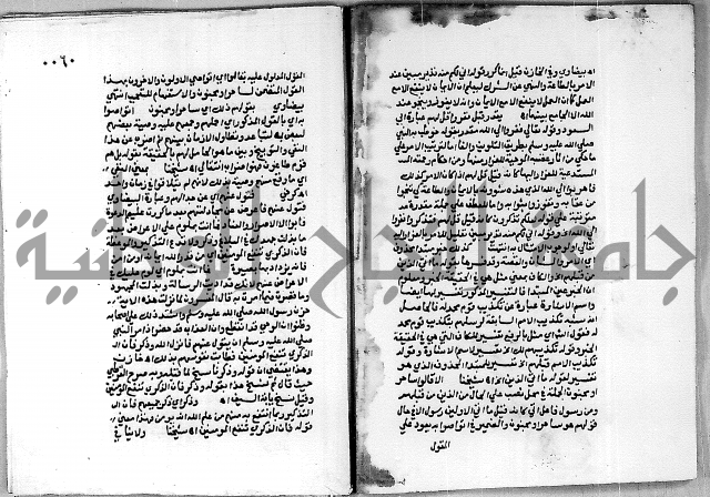 حاشية الجمل على تفسير الجلالين 