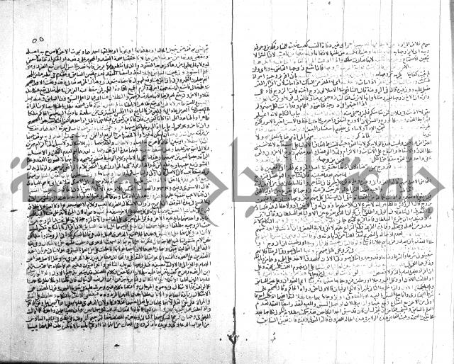 شرح الروض ج2