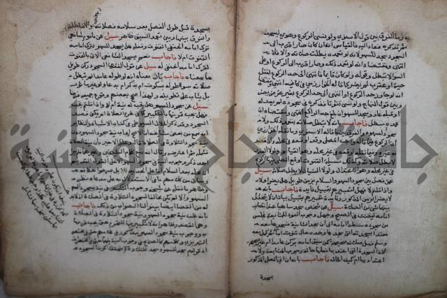 فتاوى لاحمد رمضان الأنشاصي