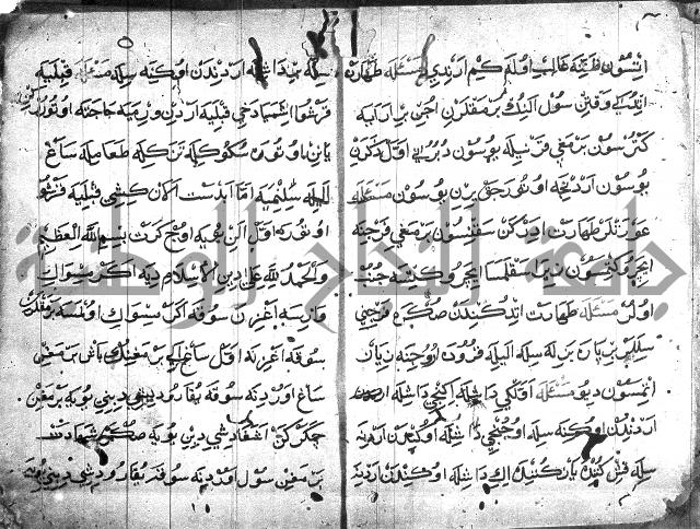 عبارات بالتركية