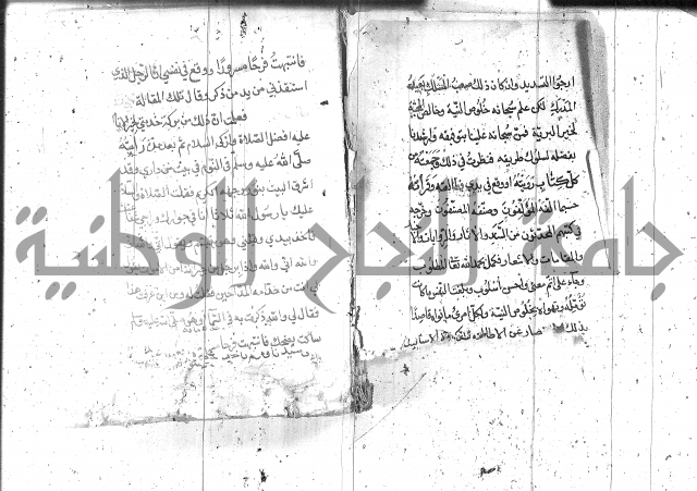 تنبيه الانام