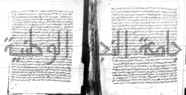 الفتاوى البزاري 