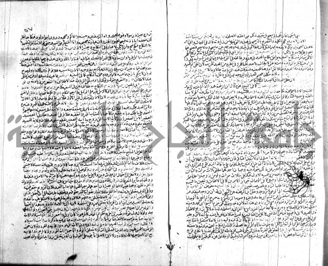 شرح الروض ج2