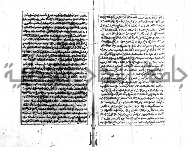 تبين المحارم 