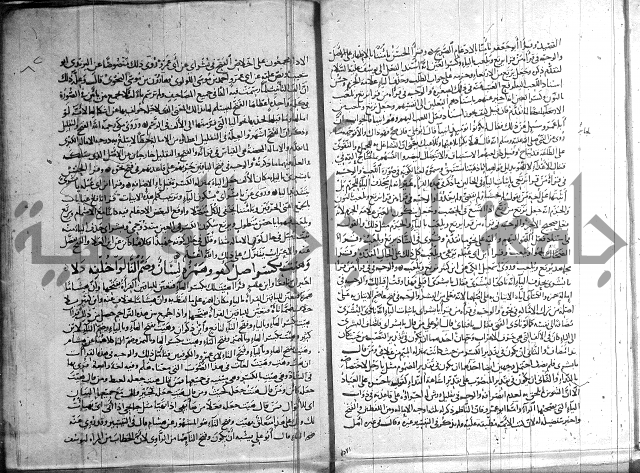 شرح الشاطبية