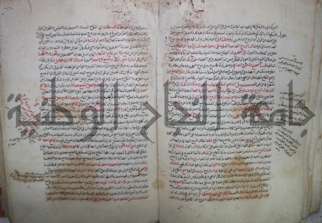 نهاية المحتاج الى شرح  المنهاج الجزء الثاني 