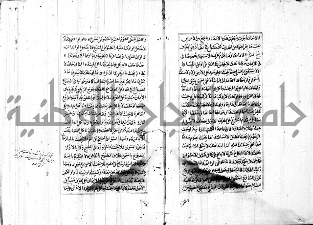 الاشباه والنظائر