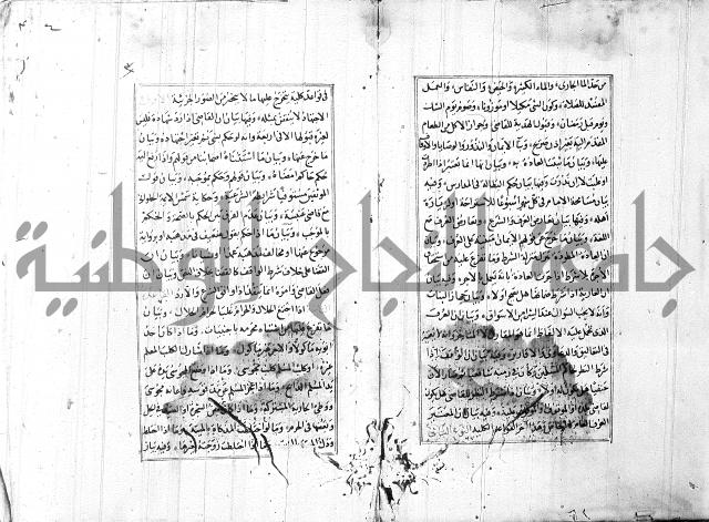 الاشباه والنظائر