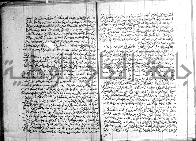 شرح الشاطبية