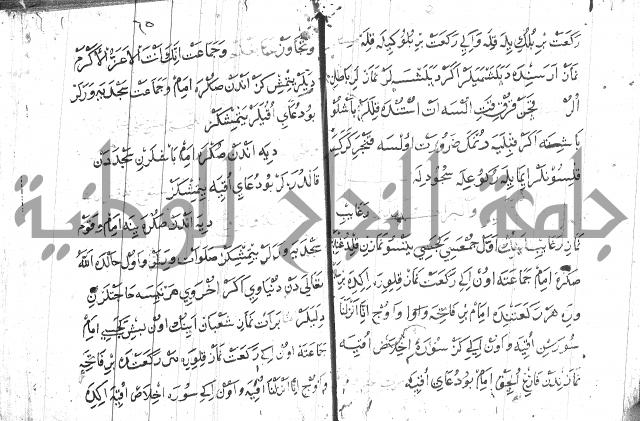 عبارات بالتركية