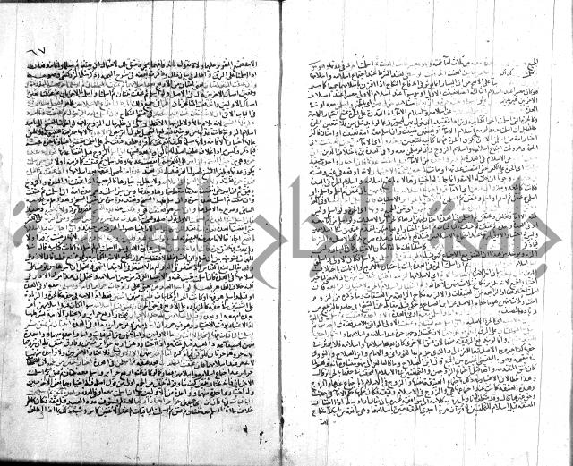 شرح الروض ج2