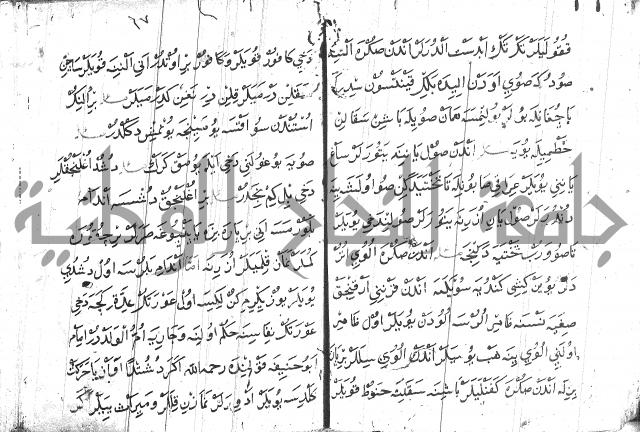 عبارات بالتركية