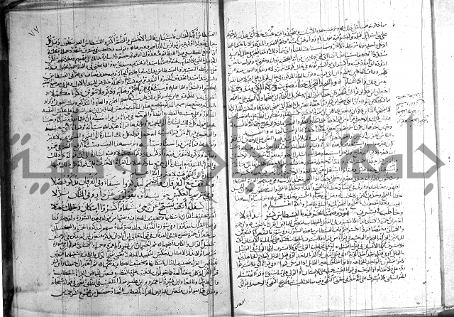 شرح الشاطبية