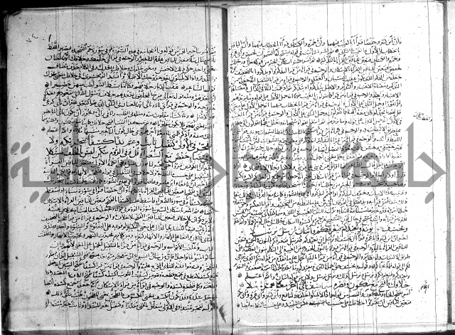 شرح الشاطبية