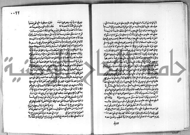 حاشية الجمل على تفسير الجلالين 