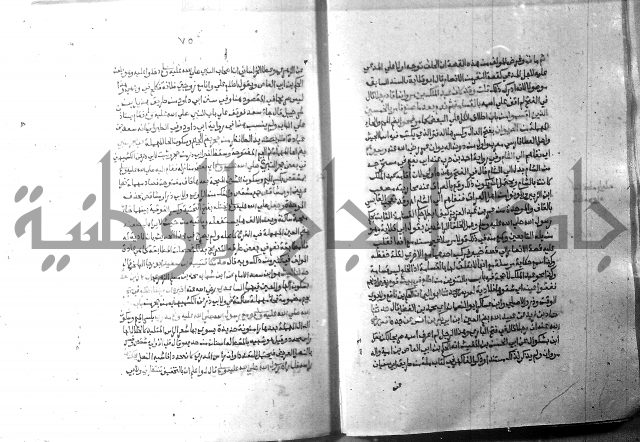 ارشاد الساري 10    