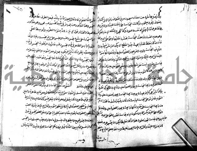 شرح منية المصلي للحلبي