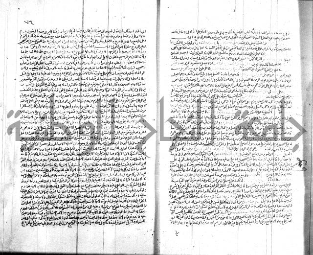 شرح الروض ج2