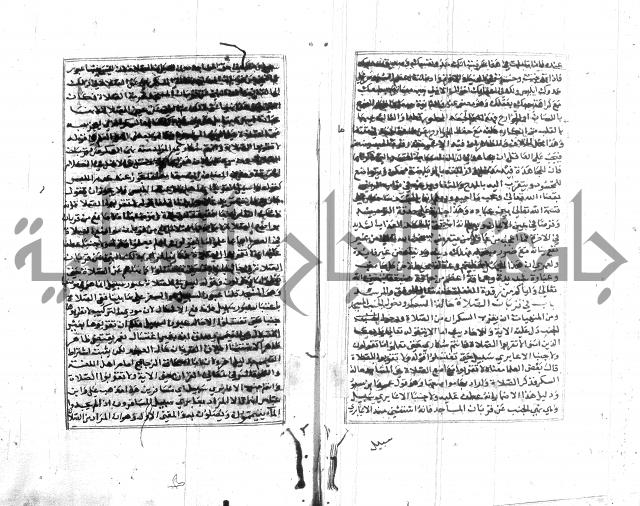 تبين المحارم 