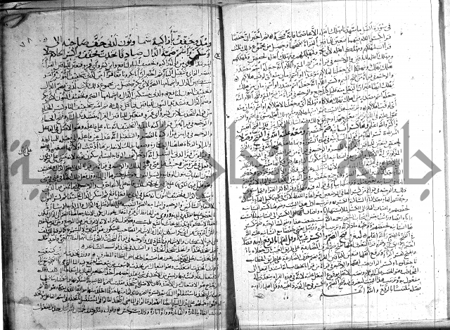 شرح الشاطبية