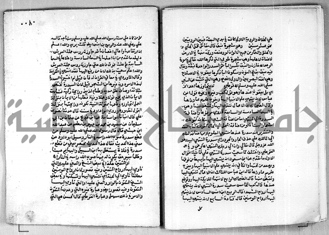 حاشية الجمل على تفسير الجلالين 