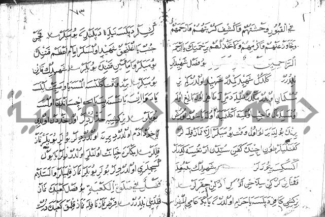 عبارات بالتركية