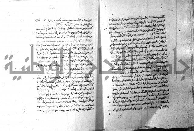 ارشاد الساري 10    