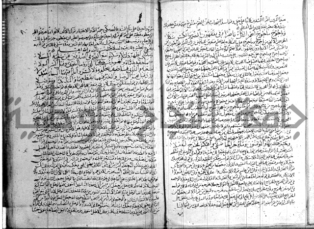 شرح الشاطبية