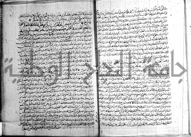 شرح الشاطبية